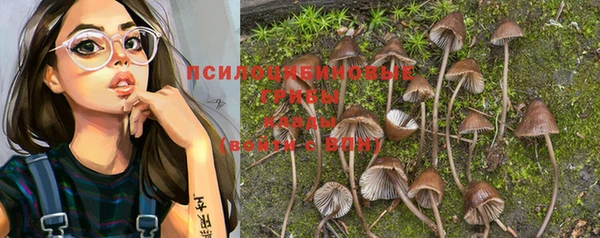 mix Абинск