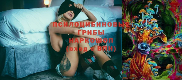 spice Абаза